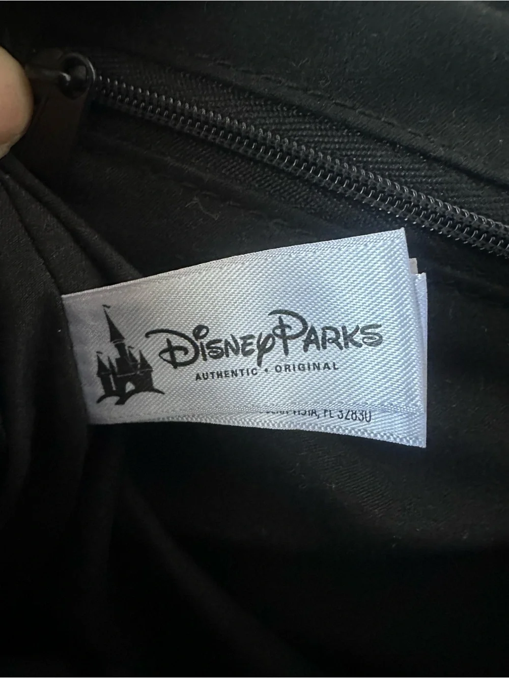 Disney playful mickey